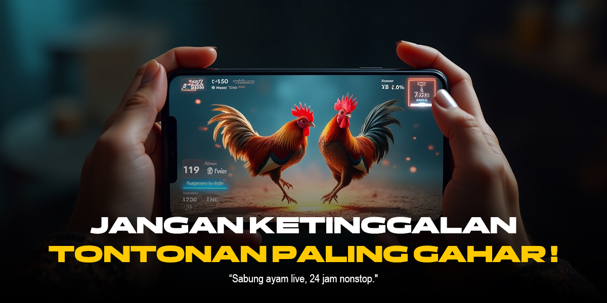 Mengenal Jenis Ayam Aduan Terbaik di SV388